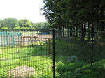 resize5759.jpg