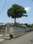 resize5792.jpg