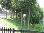 resize5793.jpg
