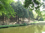 resize5800.jpg