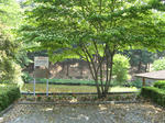 resize5796.jpg