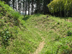 resize5810.jpg