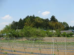 resize5843.jpg