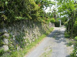 resize5844.jpg