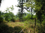 resize5849.jpg