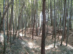 resize5855.jpg