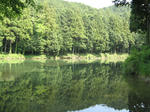 resize5861.jpg