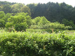 resize5870.jpg