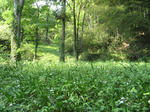 resize5884.jpg