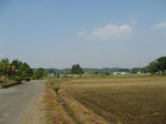 resize5891.jpg