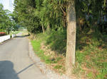 resize5919.jpg