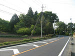 resize5931.jpg