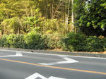 resize5924.jpg