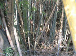 resize5923.jpg
