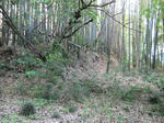 resize5926.jpg