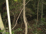 resize6038.jpg