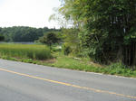 resize6064.jpg