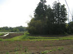 resize6065.jpg