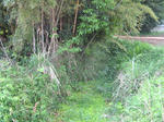 resize6067.jpg