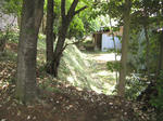 resize6078.jpg