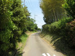 resize6095.jpg