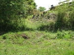 resize6097.jpg