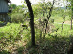 resize6099.jpg