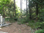 resize6100.jpg