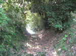 resize6107.jpg