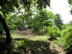 resize6102.jpg