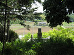 resize6103.jpg