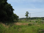 resize6113.jpg