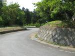 resize6117.jpg