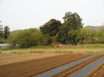 resize5425.jpg
