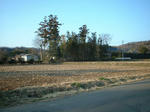 resize5553.jpg