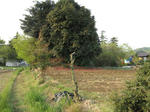 resize5428.jpg