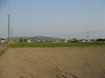 resize5440.jpg