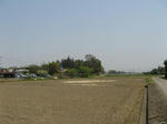 resize6383.jpg