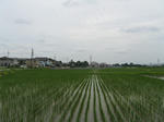 resize6249.jpg