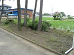 resize6252.jpg