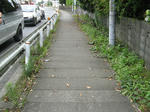 resize6269.jpg