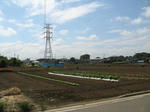 resize6177.jpg