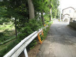 resize6172.jpg