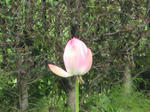 resize6302.jpg
