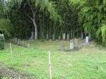 resize6304.jpg