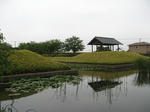 resize6305.jpg