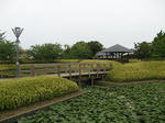resize6308.jpg