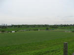 resize6330.jpg