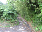 resize6539.jpg