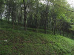 resize6541.jpg
